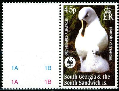 JIŽNÍ GEORGIE A J.S.O. -  býv.brit.kolonie - 2003 Albatros šedohlavý