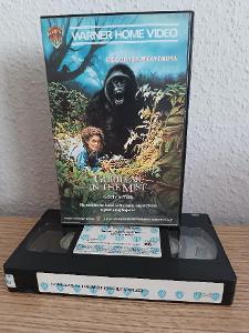 VHS - GORILY V MLZE   
