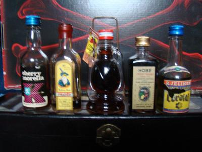 Alkoholové miniaturky - 10 kusů