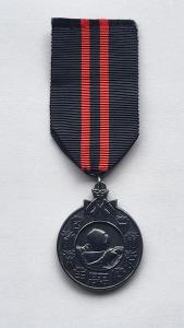 Zimní válečná medaile na Finsko-Ruskou válku 1939 - 1940-Finsko patino