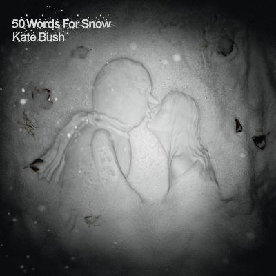 2 LP  Kaste Bush - 50 Words for Snow  (2011)