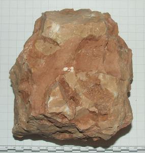 Amonit z Dolomit - krásný sbírkový kus - 2250 g