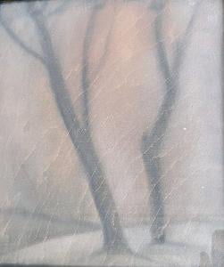 6. František Drtikol – Osamělý strom