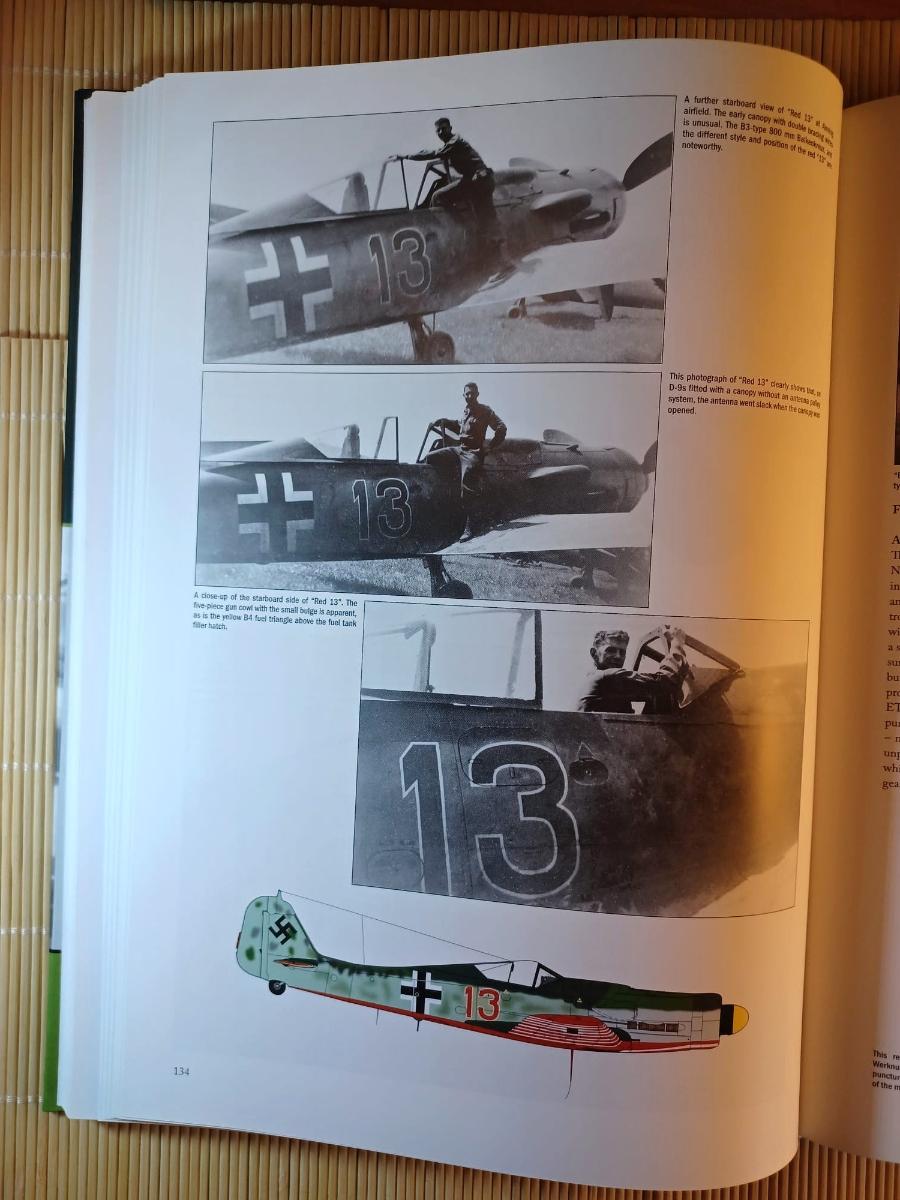 Focke Wulf Fw 190d Camouflage And Markings Part I Japo Unikát NovÁ