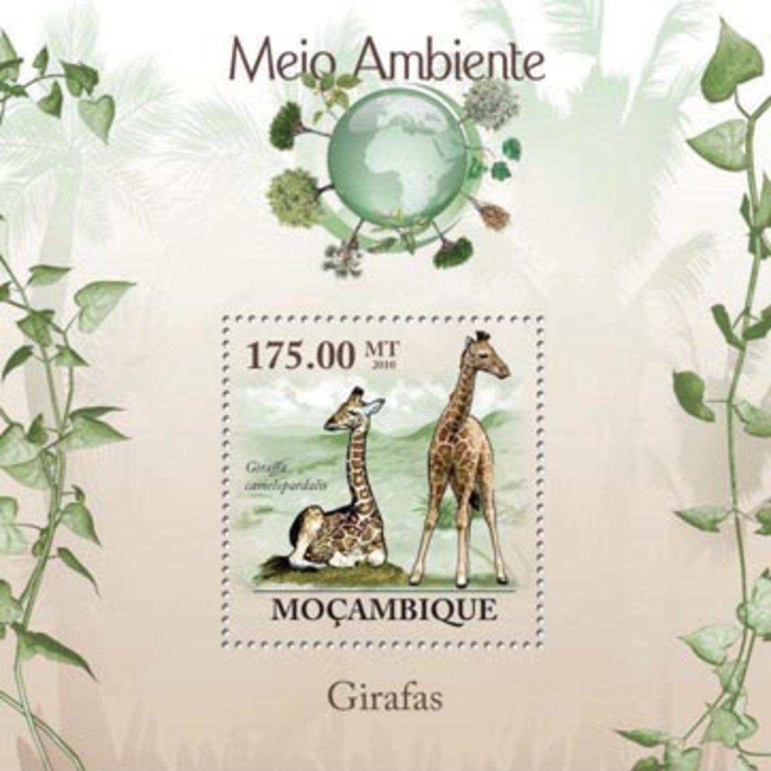 Mozambik 2010 Žirafy Mi# Block 298 Kat 10€ 0099 - Známky fauna