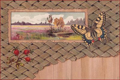 Motýl (hmyz) * šípek, krajina, koláž, litografie * M3195
