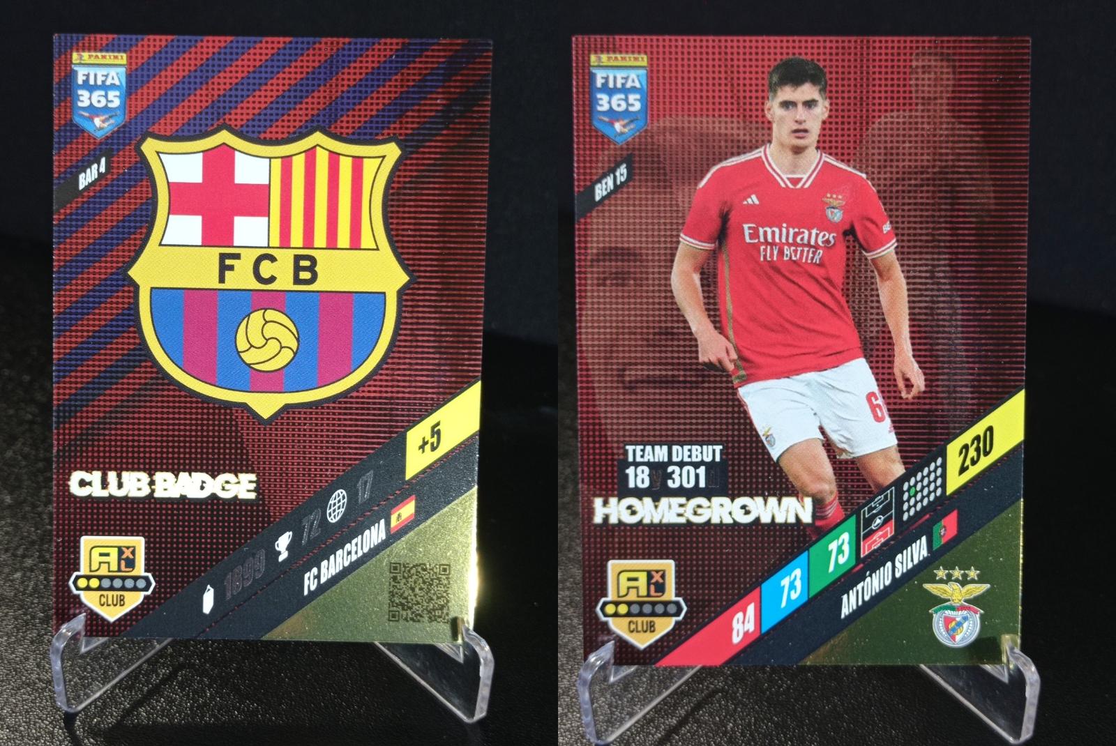 FIFA 365 fans dve insertne karty club - Športové zbierky