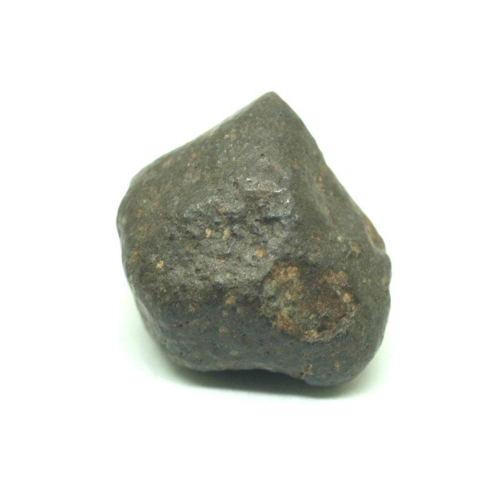 Kamenný meteorit - NWA 869 - 8,16 gramov - Zberateľstvo