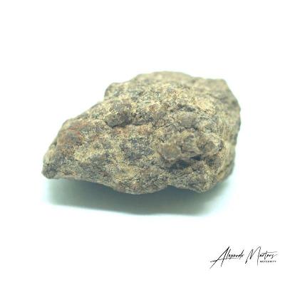 Kamenný meteorit - NWA 869 - 11,66 gramů