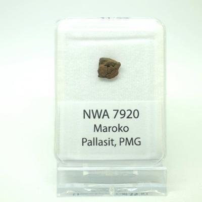 Pallasit - NWA 7920 - 0,55 gramů