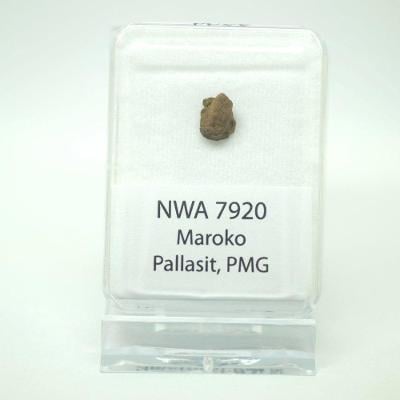 Pallasit - NWA 7920 - 0,54 gramů