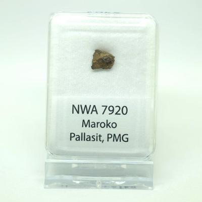 Pallasit - NWA 7920 - 0,51 gramů