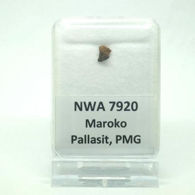 Pallasit - NWA 7920 - 0,17 gramů