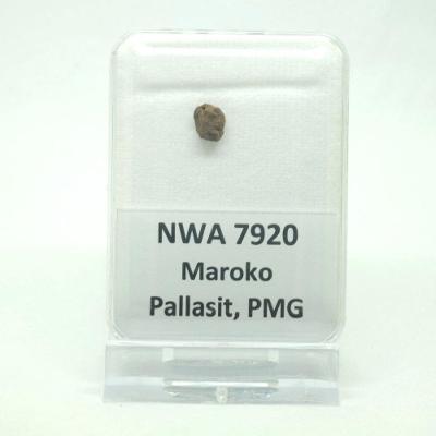 Pallasit - NWA 7920 - 0,25 gramů