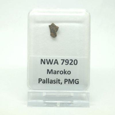Pallasit - NWA 7920 - 0,26 gramů