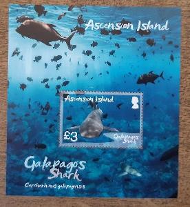 Ascension, aršík ** žraloci, r. 2022 (aukce GB343)