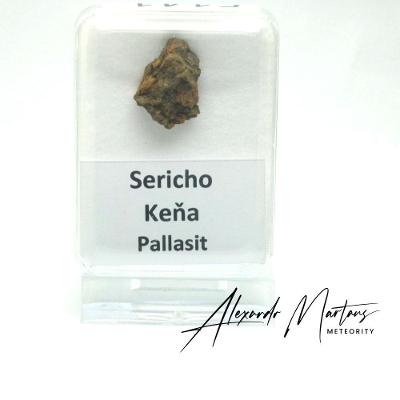 Pallasit - Sericho - 2,79 gramů