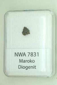 Kamenný meteorit - NWA 7831 - 0,20 gramů