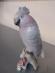 Papagáj Kakadu Royal Dux - Starožitnosti a umenie