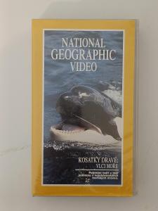 National Geographic - Kosatky dravé: Vlci moře