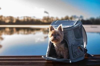 Cestovní baťoh pro psa do 4 kg