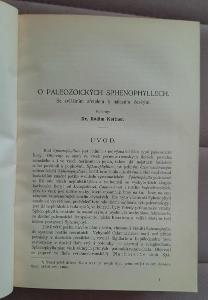 Radim Kettner O Paleozoických Sphenophyllech geologie 1923