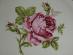 TANIER PLOCHÝ --- RUŽE, značené, porcelánka LOKET - Zariadenia pre dom a záhradu