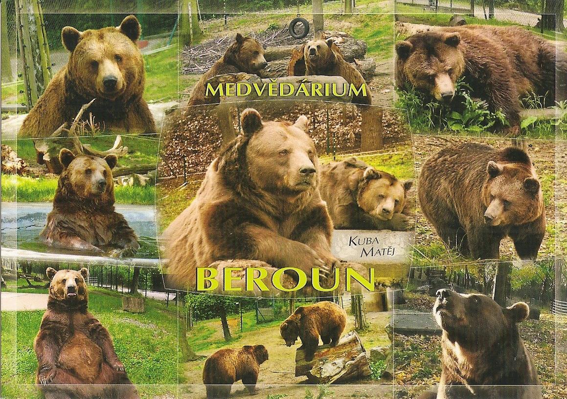 BEROUN - Medvedárium v ​​lesoparku na Mestskej hore - Pohľadnice miestopis