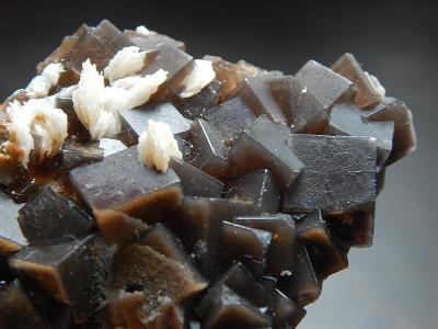 Fluorit - krásné hnědé krystaly s barytem, Pákistán 