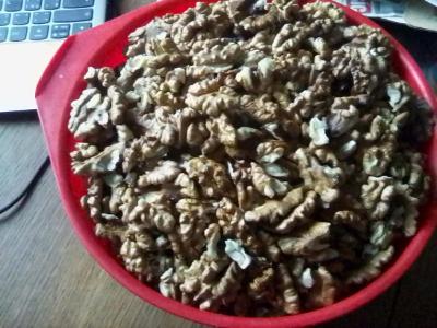 ořechy letošní vlašské cena za 1 kg