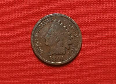 USA ONE CENT 1891 Indian