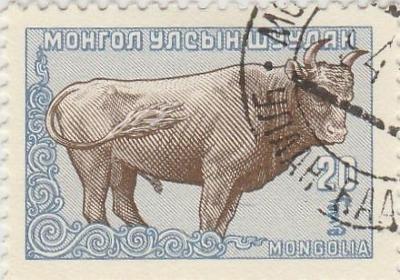 Mongolsko - na doplnění - fauna