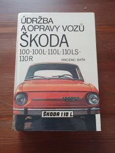 Kniha Škoda