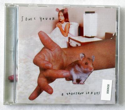 CD - Sonic Youth – A Thousand Leaves   (l1)