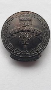 Vojensky odznak  Maďarsko  1941-1945  těžký typ-Za rychlost ve válce!