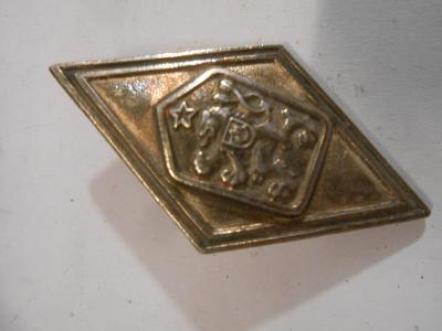 Rarita ČSSR Odznak Armáda Řád Stříbro Ag Vyznamenání Medaile 1975