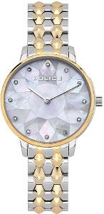 Dámské hodinky POLICE Chapada PL15700LSTG/D28