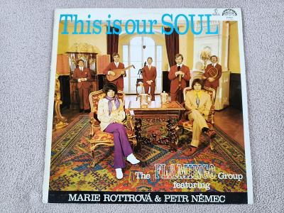The Flamingo Group - This Is Our Soul (Rottrová, Nemec)