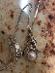 Strieborná retiazka s pravou ružovou perlou - Šperky
