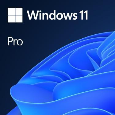 Windows 11 Pro - DOŽIVOTNÍ, OKAMŽITĚ!