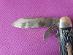 Starý skautský - kempingový nôž COLONIAL PROV. USA, Forest-Master 1950 - Vojenské zberateľské predmety