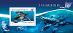Togo 2014 Veľryby Mi# Block 1103 Kat 10€ P095 - Tematické známky