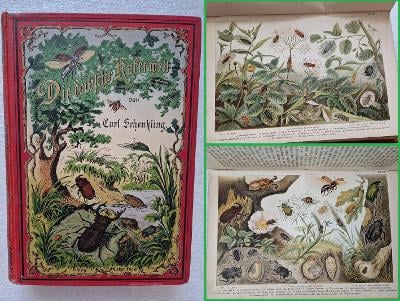 Svět brouků 1885 Schenkling přírodopis atlas brouci entomologie 24xTab