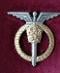 Letecký - čestný odznak veliteľa letectva - Odznaky, nášivky a medaily