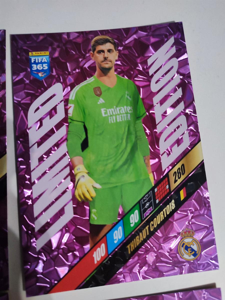 Panini - FIFA 365 2024 - Complete Album - Catawiki