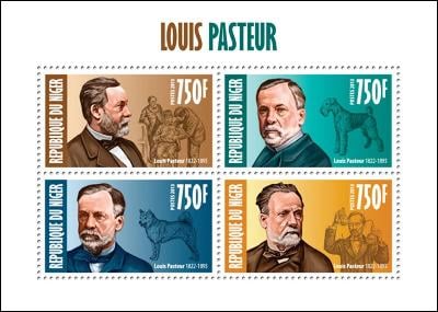 Niger 2013 Louis Pasteur, biolog Mi# 2333-36 Kat 12€ R034