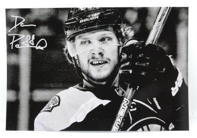 Fotografie 10x15 - David Pastrňák - NHL Boston Bruins