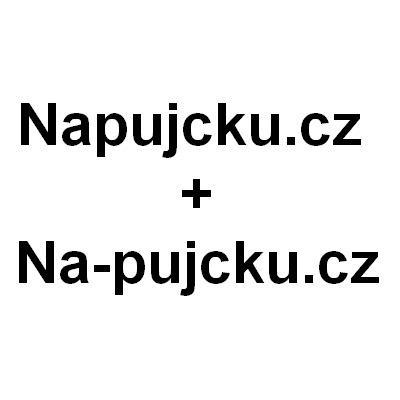 NaPujcku.cz + Na-pujcku.cz  -  domény na prodej