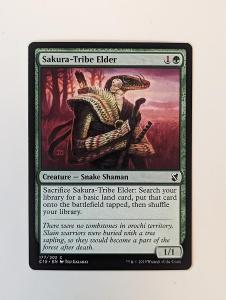 MTG Sakura-Tribe Elder
