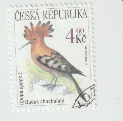 Česká republika 1999